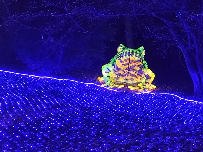 Park iluminacji w Lublinie