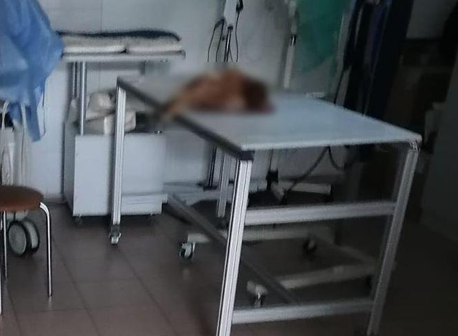 Lubelskie: Okładał kurę sąsiada kijem od szczotki. Ledwo żywego ptaka przerzucił przez płot