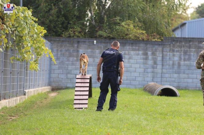 Wojewódzkie eliminacje do XXI Kynologicznych Mistrzostw Policji na obiektach KWP Lublin