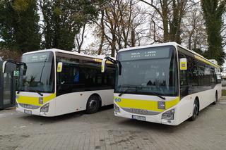 Nowe autobusy wyjadą na wielkopolskie drogi