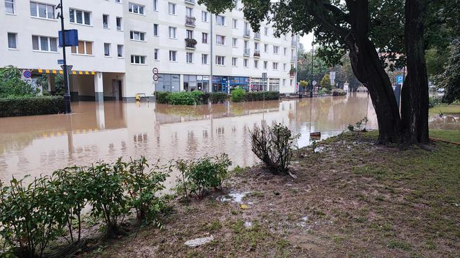 Nysa. Ratownicy WOPR i GOPR z całego kraju zjeżdżają do miasta. Dwugodzinne kolejki w sklepach