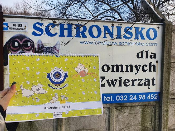 Kalendarz charytatywny Schronisko dla bezdomnych zwierząt Chorzów