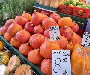 Ceny dyni 2025 na Nowym Kleparzu i Starym Kleparzu w Krakowie