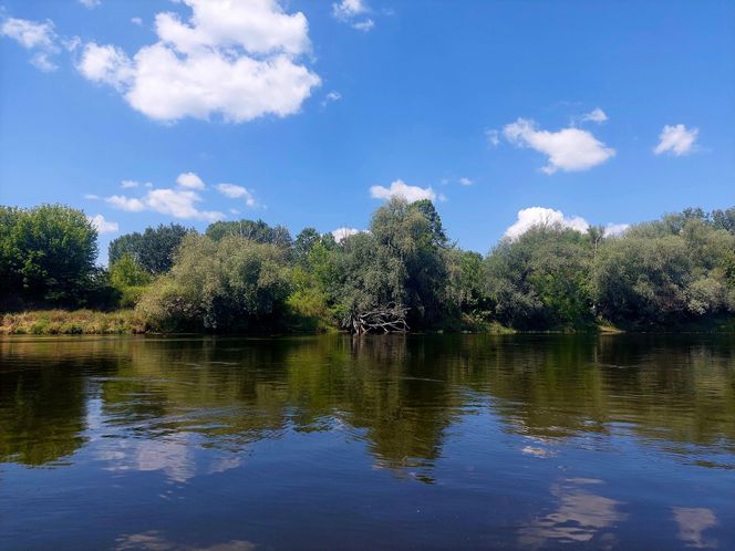 Wisła w Fordonie zaprasza turystów. Można popływać drewnianą łodzią i poczuć tę samą bryzę, co kiedyś flisacy