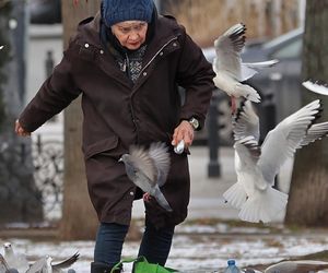 Anna Chodakowska. Gwiazda Labiryntu wśród ptaków