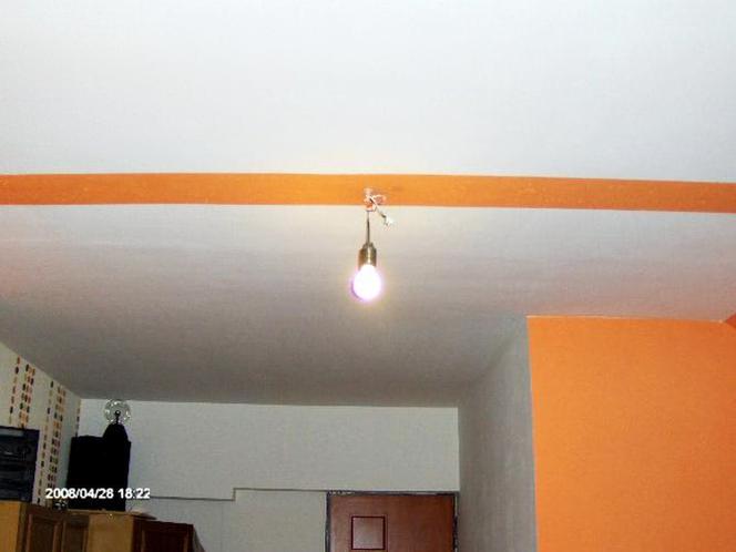 Zdjęcie 4069