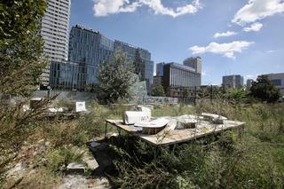 Mieszkańcy Warszawy o zdemolowanym Parku Miniatur w centrum: Sprzątnijcie ten syf! 