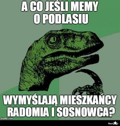 Memy o Radomiu