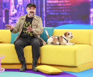 Te psy skradły serca gwiazd! 