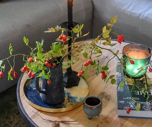 Metamorfoza siedliska na Mazurach