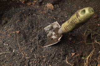 Sprawdzamy odczyn gleby: jak pobrać próbki i czym zbadać glebę