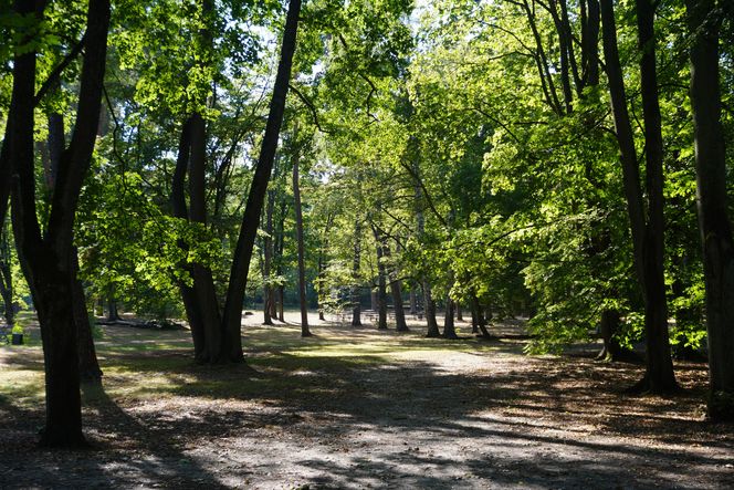 Park Konstytucji 3 Maja