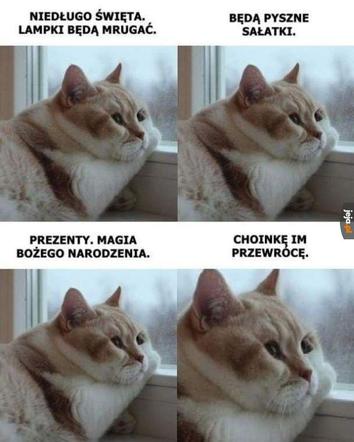 Najśmieszniejsze MEMY o zimie