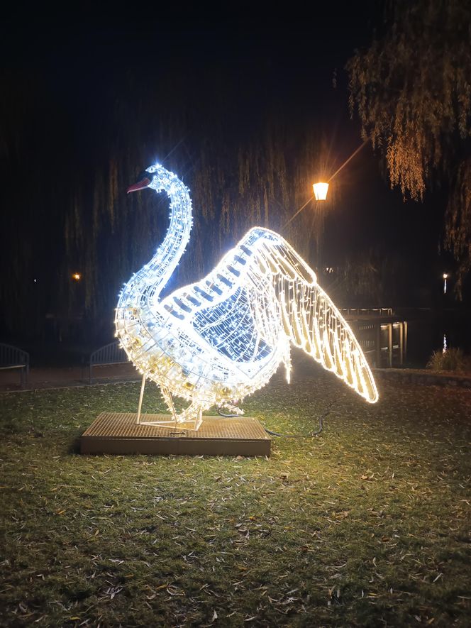 Iluminacje świetlne 2024 Gdańsk