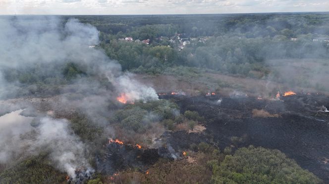 Wołomin: Płonie Natura 2000. Dym widać z wielu kilometrów