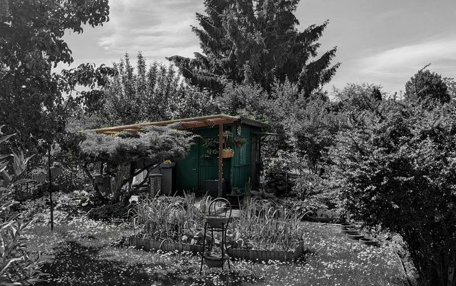 Do zabicia przyznał się podczas spowiedzi. Pobił Monikę tak mocno, że złamał sobie rękę