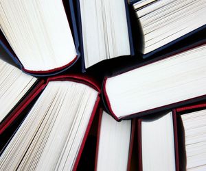46. Technikum Organizacji i Zarządzania - Szczecin
