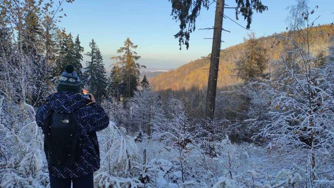 Widoki w drodze na Niedźwiadki - Góry Wałbrzyskie 