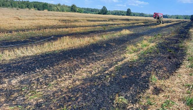 Kombajn ściął słup energetyczny