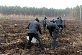 Pierwszy w Poznaniu las węglowy