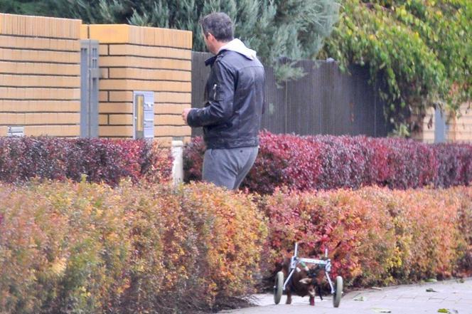Deląg ma jamnika na kółkach