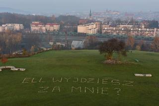 Wyjątkowe oświadczyny na Kopcu Krakusa