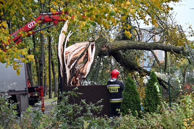 Potężne wichury w Polsce. Połamane drzewa, zniszczenia! Są ofiary śmiertelne