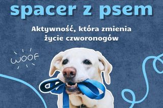 Zamiast bieżni, spacer z psem