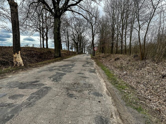 Mateusz znał tę drogę na pamięć. Jechał odwiedzić ojca. Zginął kilkaset metrów od domu