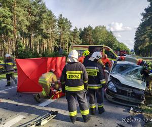 Koszmar pod Włodawą. Roztrzaskali się czołowo. Życie dwóch osób zgasło w jednej chwili