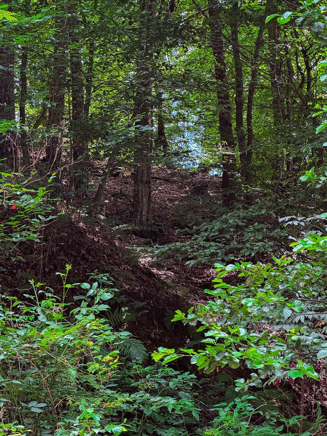Ulica Tatrzańska w Brodach i piękne widoki