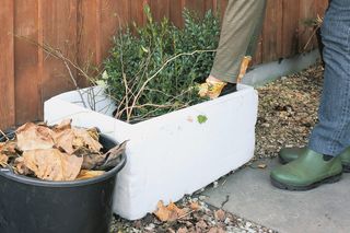 Zabezpieczanie roślin tarasowych na zimę