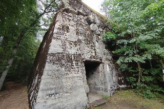 Czarny Szaniec na Mazurach. Bunkry Himmlera ukryte w lesie koło Pozezdrza [ZDJĘCIA]