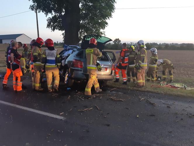 Tragiczny wypadek pod Mogilnem! Zginął kierowca i pasażerka