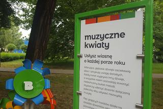 Leszno ma wyspę! W parku przy ul. Berwińskich powstała Wyspa Naukowa