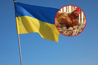 Ukraina zakazuje importu jaj i drobiu z Polski