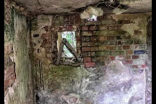 Zobacz, jak wygląda tajemnicy grobowiec rodziny Mielochów