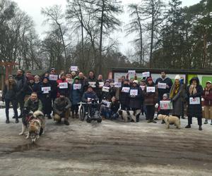 Protest na Barbarce w Toruniu. Społecznicy nie chcą wycinki starych sosen