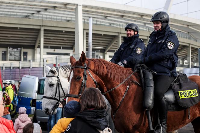 Tak wyglądały Wojewódzkie Obchody Narodowego Święta Niepodległości na Stadionie Śląskim ZDJĘCIA