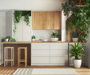 Kuchnia inspirowana naturą