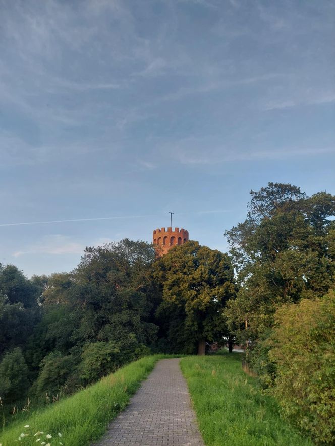 Przez to miasto Kujawsko-Pomorskiem nie da się przejść niezauważonym. Na turystów patrzy ponad 200 par kamiennych oczu. Wszędzie są twarze!