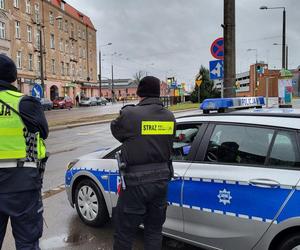 Policyjne działania Zebra w Grudziądzu