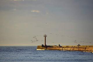 Port morski, Darłowo