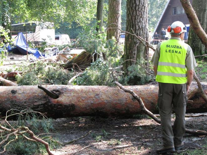 Dobrocin. Trąba powietrzna przeszła przez obóz harcerski. Ewakuowano prawie 200 osób [ZDJĘCIA]