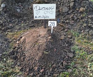 W całym woj. śląskim jest tylko jeden taki cmentarz. Miejsce, gdzie pamięć o pupilu nie umiera