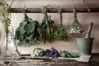 Suszenie ziół na zimę - jak suszyć zioła w domu? Poznaj sprawdzone sposoby