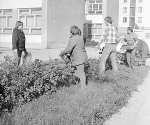 Osiedle Za Żelazną Bramą w Warszawie - stare zdjęcia. Jak wyglądało dawniej, w PRL-u?