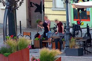 Bydgoszczanie szli jak po swoje, nie przepuścili nawet drzewku. Na koniec łup wrzucili do rzeki