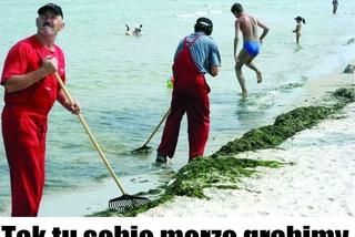 Wakacje rozpoczęte! Polacy ruszyli na plaże! Zobacz najlepsze MEMY!