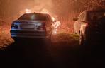 Podpalenia samochodów w Zabrzu-Rokitnicy. Doszczętnie spłonęło 12 aut! 